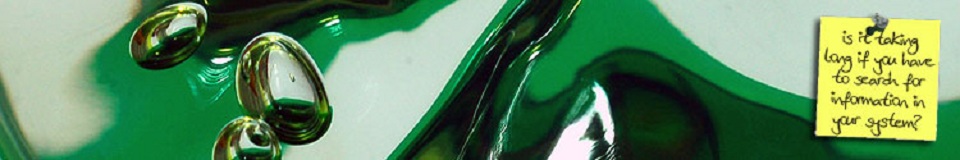 Workflow and information systems banner